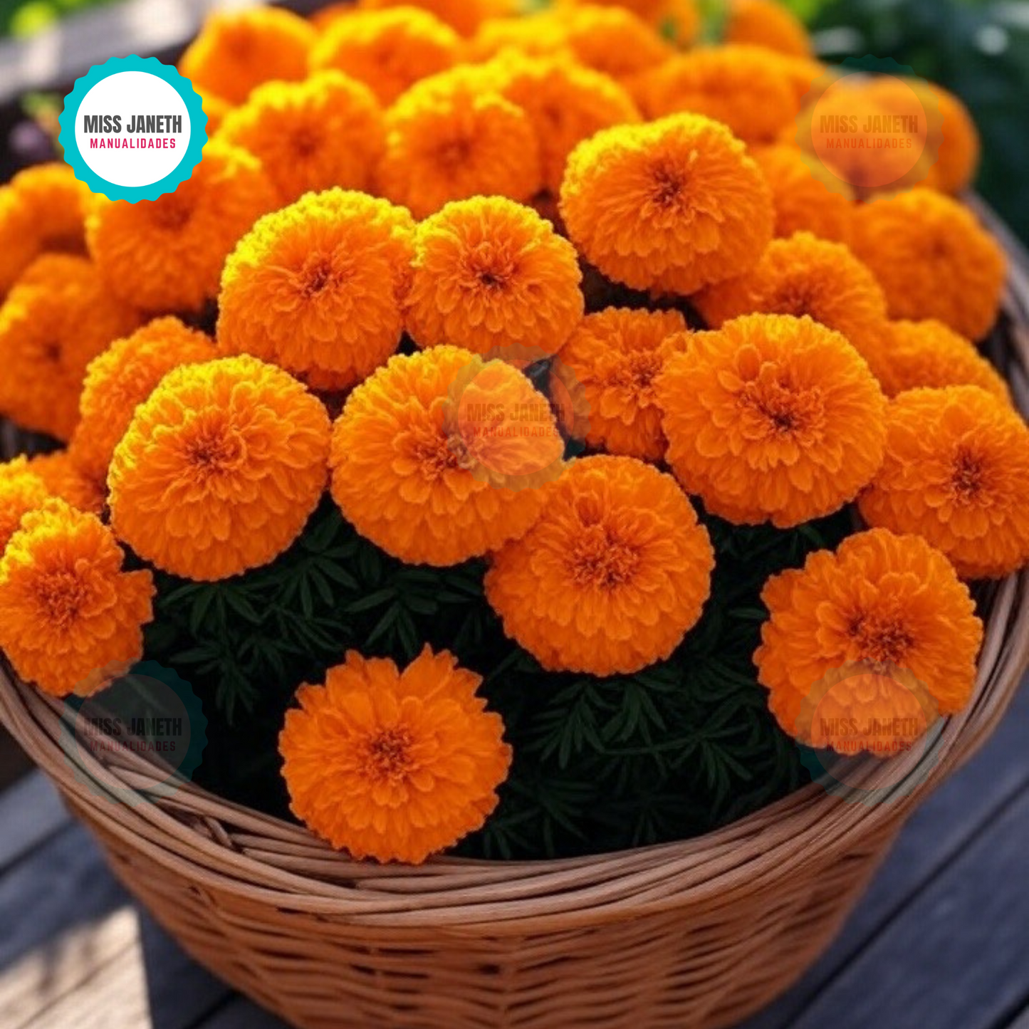 Esencia para velas 20 mL (aromas)
