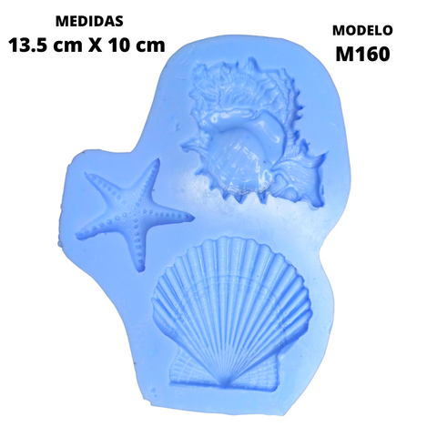 Conchas de mar